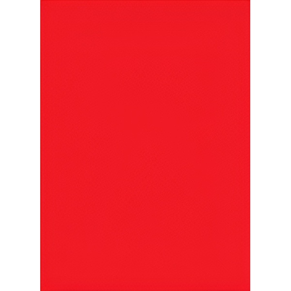 WANDTRED WALL TILE 20X30CM #RED